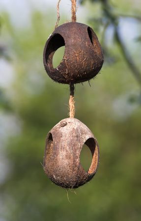 A photo of a hanging bird table (garden type)の写真素材