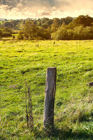 A photo of grass and meadow in the  Danish countrysideの写真素材