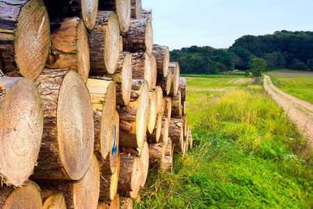 A photo of a pile of woodsの写真素材