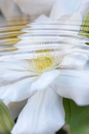 Rippled universe - useful as backgroundの写真素材