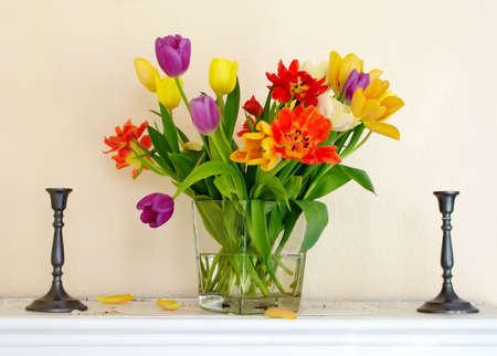 A photo of very colorful tulipsの写真素材