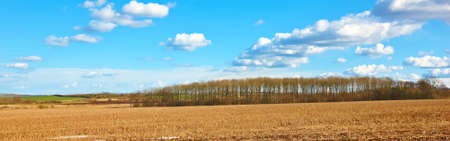 A panorama photo of farmland early springの写真素材