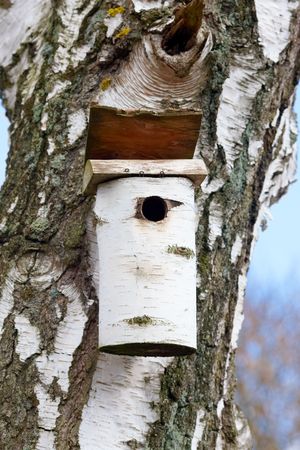 A birdhouse in early springの写真素材