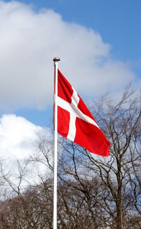 The Danish flag an early morning in the springの写真素材