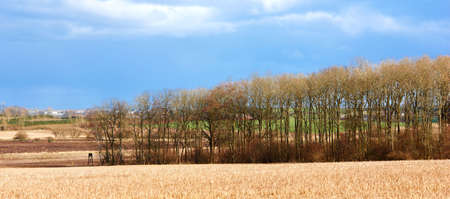 In the contryside - early spring timeの写真素材