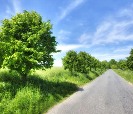 A Danish country road - a warm, early summer dayの写真素材