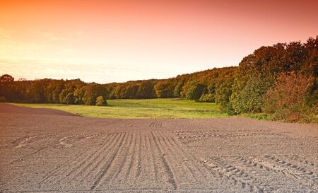 Sunset - the countryside