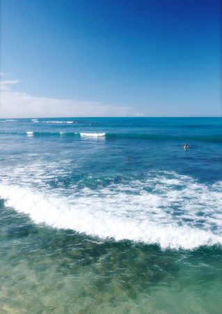 Tropical Beach - Oahu Hawaiiの写真素材