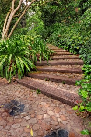 My African garden - lush green, stone footpath, and summerの写真素材