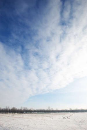 Winter landscape on a sunny day with blue skyの写真素材