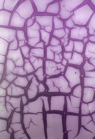 Natural patterns - painting on an old wall