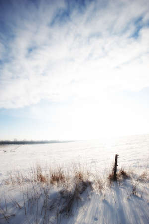 Winter landscape on a sunny day with blue skyの写真素材