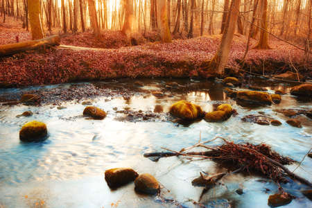 Autumn landscapeの写真素材