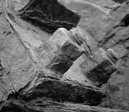 Rusty-colored iron - old age steel metal nutの写真素材