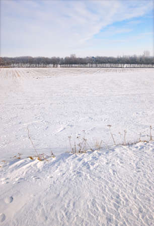 Cold and beautiful winter landscape - space for textの写真素材