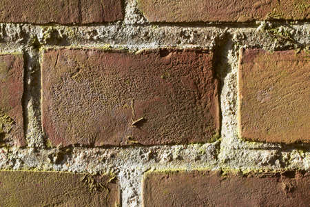 a photo of a very old brick wall