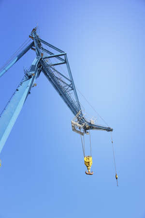A sharp and detailed a very huge and strong craneの写真素材