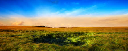 A  photo of sunset in the countryside at summertime