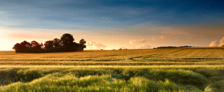 Sunset in the countryside in late summer - lots of copyspaceの写真素材