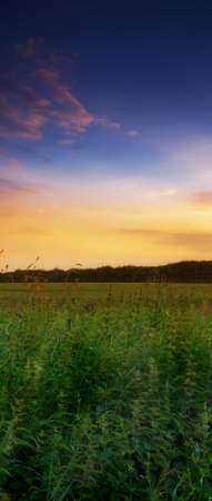 A beautiful summer sunset at the countrysideの写真素材