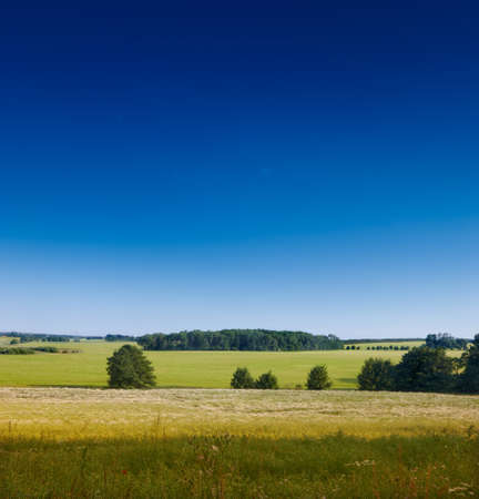 A sunset in the countryside at summertimeの写真素材
