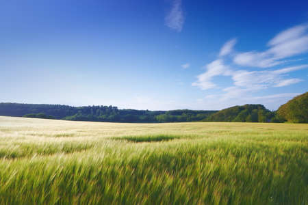 the countryside at summertimeの写真素材