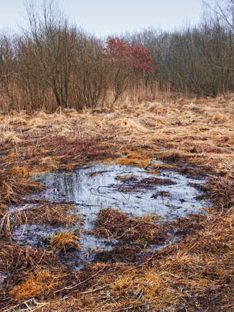 A photo of autumn lake landの写真素材