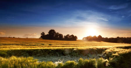 Sunset in the countryside in late summer - lots of copyspaceの写真素材