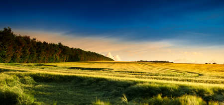 Sunset in the countryside in late summer - lots of copyspace