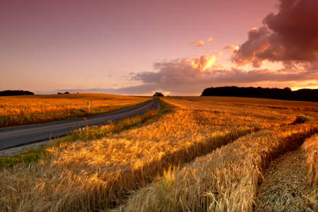 countryside at sunsetの写真素材