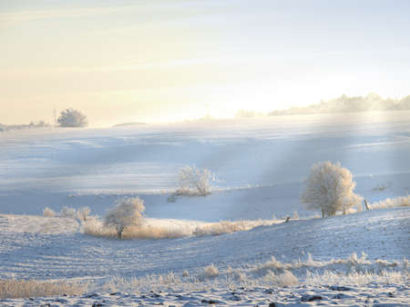 An outdoor photo of winter landscape beautyの写真素材