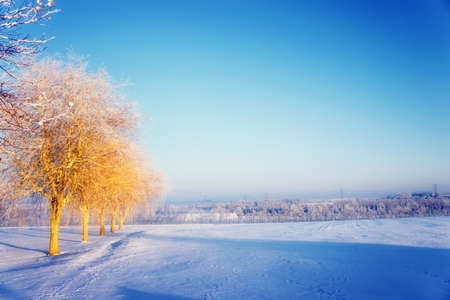 An outdoor photo of winter landscape beautyの写真素材