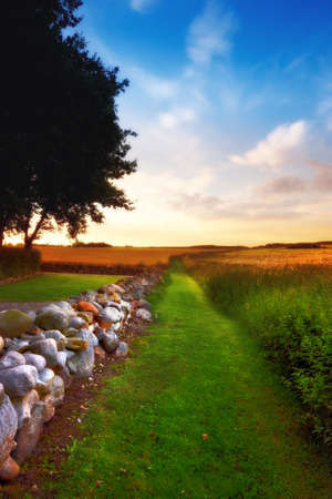 A photo of The countryside in springtimeの写真素材