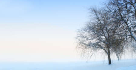 A photo of a Winter landscape early morning