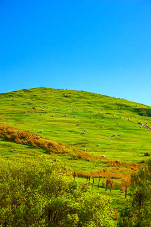 A photo of Beautiful landscapes of New Zealandの写真素材