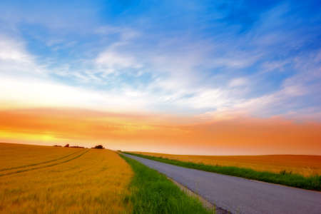 A landscape photo of Famland - harvest and sunsetの写真素材