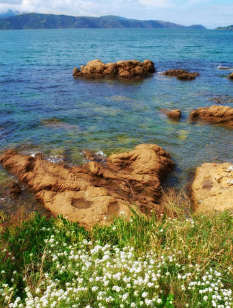 A photo of Karaka Bay - Wellington, New Zealandの写真素材