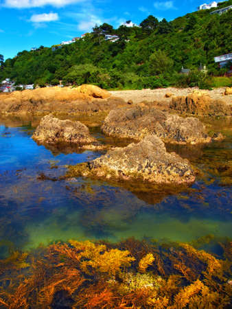 A photo of Karaka Bay - Wellington, New Zealandの写真素材