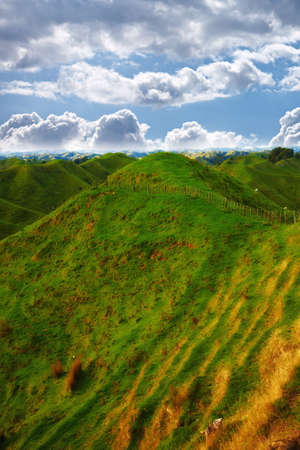 a photo of Farmland - New Zealandの写真素材