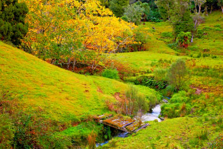 a photo of Autumn landscape in New Zealandの写真素材