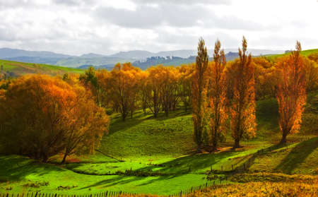 A photo a Autumn landscape in New Zealand