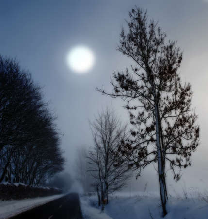 A winter photo of snowy countryside and roadの写真素材