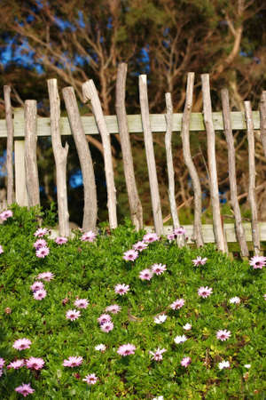 A photo of a fence, flowers, blue sky and gardenの写真素材