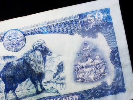 A macro photo of Nepal 50 Rupiの写真素材