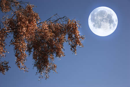 A photo the moon, nature and landscapeの写真素材