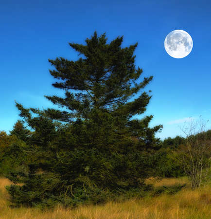 A photo the moon, nature and landscapeの写真素材