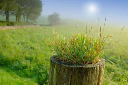 A photo sunrise in early morningの写真素材