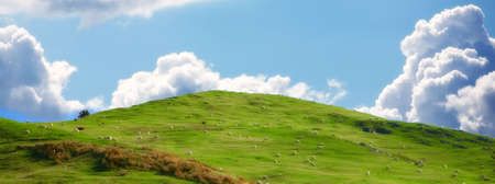 A photo sunrise in early morningの写真素材