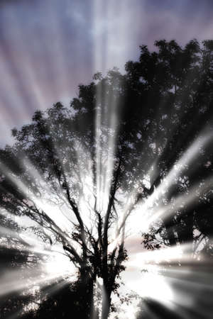 A photo sunrise in early morningの写真素材