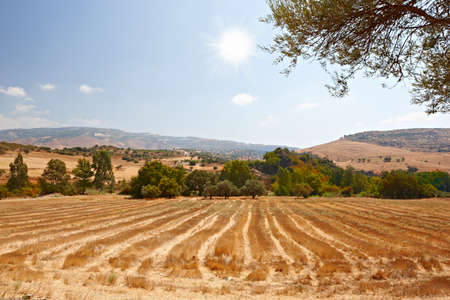 A photo sunrise in early morningの写真素材